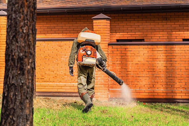 Top rated local Ant Control specialists in Belle Haven, VA